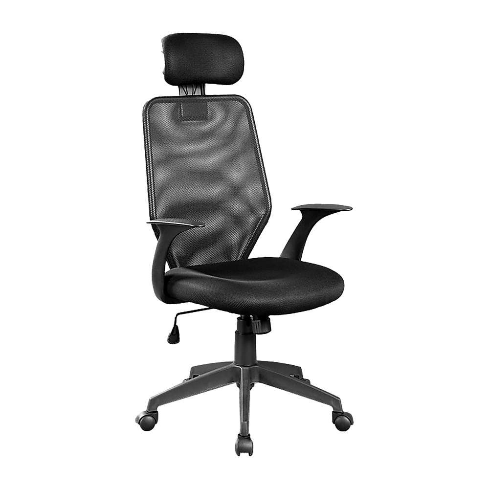 Ergonomic Mesh Office Chair