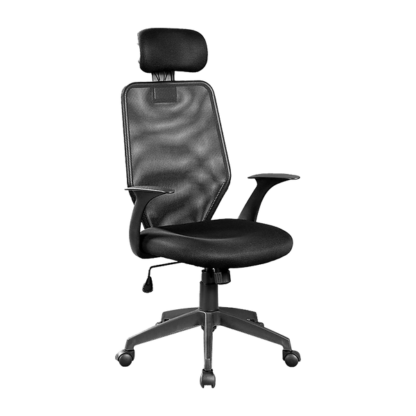 Ergonomic Mesh Office Chair